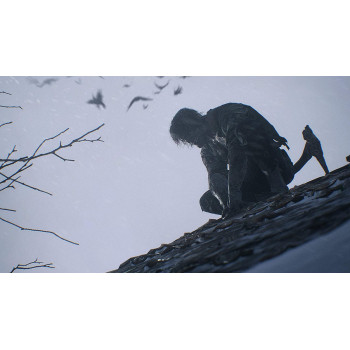 Capcom Resident Evil Village (Ps5)