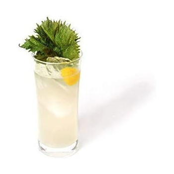 Kimino Sparkling Yuzu Juice 250 ml