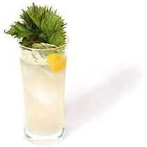 Kimino Sparkling Yuzu Juice 250 ml
