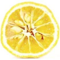 Kimino Sparkling Yuzu Juice 250 ml