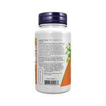 Now Foods Ginseng & Royal Jelly 90 Capsules Dietary Supplements