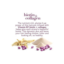 Ogx Full Biotin And Collagen Shampoo Purple 385Ml Hair Care & Treatments