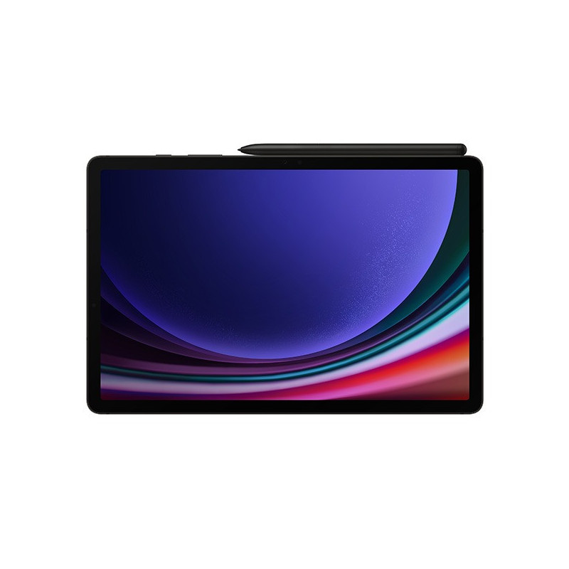 Samsung Galaxy Tab S9 WiFi 8GB RAM 256GB Storage Graphite Android Tablet