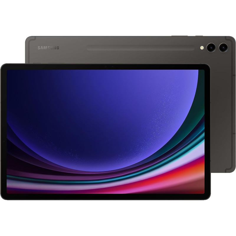 Samsung Galaxy Tab S9+ Tablet WiFi 256GB 12GB Graphite