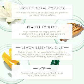 Rene Furterer Triphasic Reactional Anti Hair Loss Ritual Sudden Hair Loss Treatment, 5 ml, Pack of 12