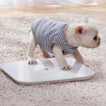 Xiaomi Smart Weight Scale, Weighing Scale 2 Bluetooth 5.0 Precision Fitness Xmtzc04Hm, B07V6Cf5Yh