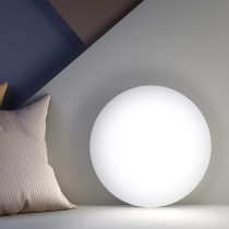 Xiaomi Mi Smart Led Ceiling Light