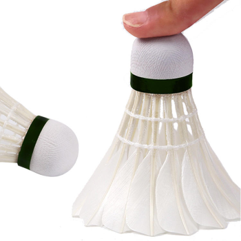 Badminton Feather...