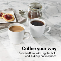 Hamilton Beach Frontfill 12 Cup Programmable Coffee Maker, 1.7L Glass Carafe, 950W, Wake Up Ready, 3 Brewing Options, Reusable Mesh Filter, Clean Reminder, Auto Shut Off, 2 Years Warranty, 46310-ME
