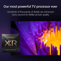 Sony A80L 65 Inch TV-XR-65A80L, BRAVIA XR OLED 4K UHD Smart Google TV, 2023 Model