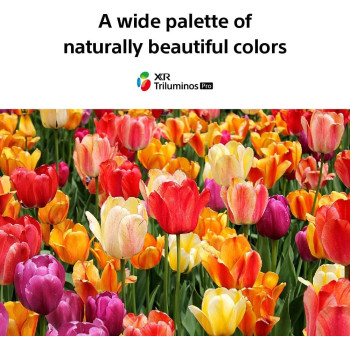 Sony 55-Inch LED 4K with XR Android Smart Google TV and build-in receiver Model(2021) XR-55X90J Black