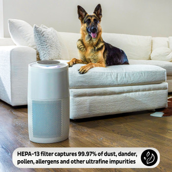 Instant Hepa Air Purifier Replacement Filter For Home Allergens And Pet Danders, Removes Dust, Smoke, And Pollen With Plasma Ion Technology, For Ap100