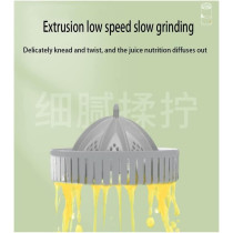 V2COM Multi Functional Electric Juicer