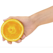 Sage 800CPUK the Citrus Press Pro - Silver