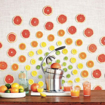 Sage 800CPUK the Citrus Press Pro - Silver