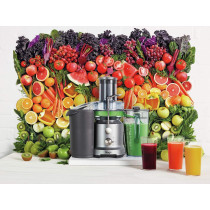 Sage BJE430SIL The Nutri Juicer Cold Fountain Centrifugal Juicer - Silver