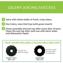 Omega Medical Medium Masticating Juicer, Cold Press Juicer Machine For Celery with Adjustable Dial, 200-Watts, Silver - MM900HDS