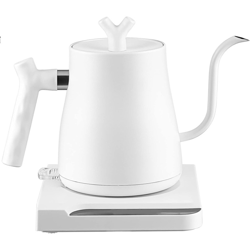 Tepengdie Electric Kettle for Boiling Water, Stainless Steel Filter & Lid, 1L 1000W Electric Tea Kettle & Electric Water Boiler, Auto Shut-Off & Boil-Dry Protection, BPA Free, Matte White