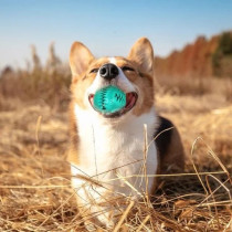 For Pets Dog Chew Ball Toy