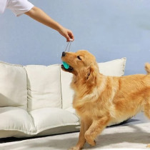 For Pet Chewer Ball