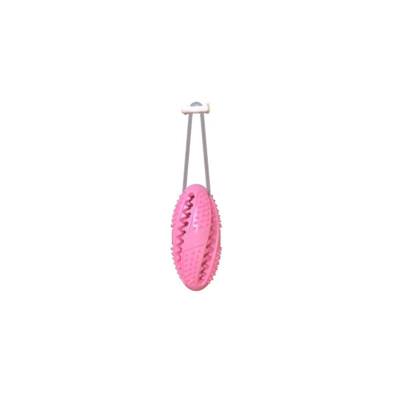 For Pet Chewer Ball