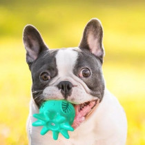 For Pet Octopus Dog Chew Toy