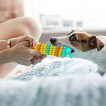 For Pets Caterpillar Dog Chew Toy