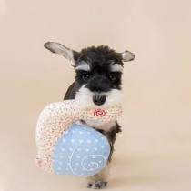 Puppy Life Soft Flannel Snail Dog Toy