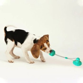 For Pet Rope Silicon Ball Pull Toy For Dogs With Suction Cup ,Size: 48*8*8Cm