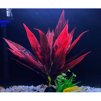 Aquarium Plastic Plant - T1108-W13 x H32 Cm By (6Pcs/Pack)