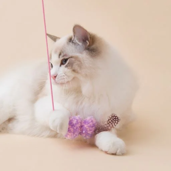Its Meow Light Wool Cat Stick 