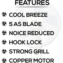 Flexy 16 Inches 5 Leaf Noise Free Swing Wall Fan White
