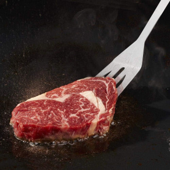 5 Pcs Stainless Steel Bbq Grill Tool Set With Knife, Brush, Fork, Spatula And Tong With Oxford Bag, 1 Year Warranty