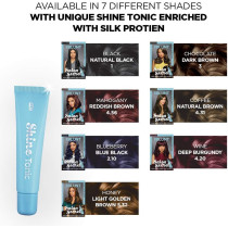 BBlunt Secret High Shine Creme Hair Colour, Honey Light Golden Brown 5.32, 100 G With Shine Tonic, 8 ML