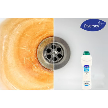 Diversey Multi Cream, Non Abrasive Stain Removal for Washroom, Sink, Tub, Tiles and Stainless Steel Surfaces 500 ML (Pack of 2)