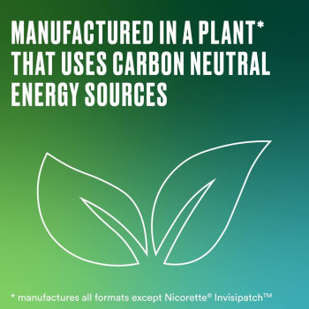 Nicorette Fresh Mint Chewing Gum (Stop Smoking Aid) 2 mg, 210 Pieces