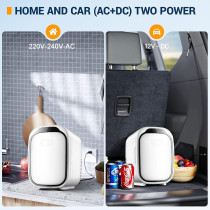 TDOO Mini Makeup Fridge, 6 Liter 9 Can Ac Dc Portable Thermo Electric Cooler And Warmer Refrigerators For Skincare, Beverage, Food, Home, Office And Car, Includes Plugs For Home Outlet And 12V Car Charger, 1 Year Warranty