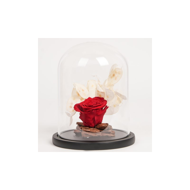 fnp Forever Red Rose in Glass Dome