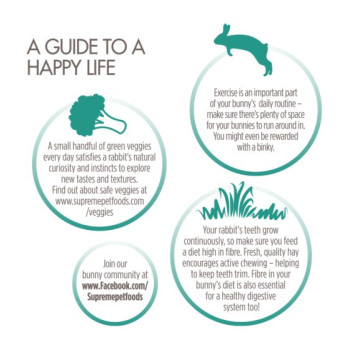 Science 1.8kg Selective Rabbit, Brown