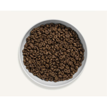 Canagan Scottish Salmon for Small Breed Dog, 2kg, Brown