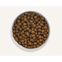 Canagan 12kg Free Run Turkey Dental Dogs Dry Food, Brown