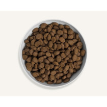 Canagan 12kg Country Game Dog Food for All Breeds Dogs, Brown