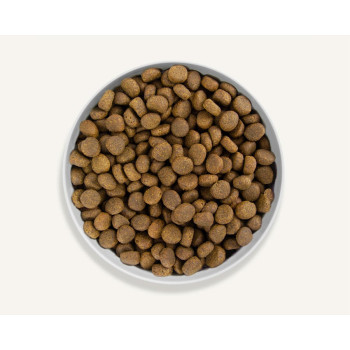 Canagan 12kg Highland Feast For Dogs Dry Food, Brown