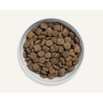 Canagan 12kg Grass-Fed Lamb For Dogs Dry Food, Brown