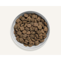 Canagan 12kg Grass-Fed Lamb For Dogs Dry Food, Brown