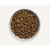 Canagan 12kg Free Range Chicken For Dogs Dry Food, Brown