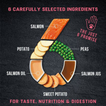 Harringtons 12kg Just 6 Salmon Grain Free Dry Dog Food