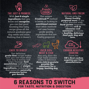 Harringtons 12kg Just 6 Salmon Grain Free Dry Dog Food