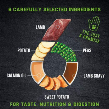 Harringtons 2kg Just 6 Lamb Grain Free Dry Dog Food