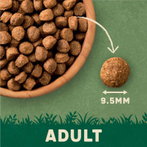 Harringtons 4kg Complete Turkey Veg Adult Dry Dog Food